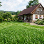 Krásný trávník jako vizitka zahrady a péče, která se vyplatí